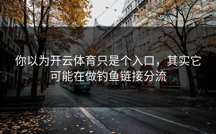 你以为开云体育只是个入口，其实它可能在做钓鱼链接分流